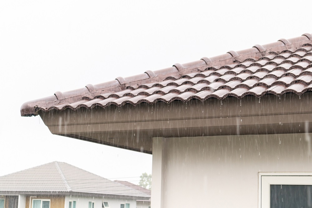 江戸川区の気候変動と雨漏り：将来を見据えた家屋メンテナンス計画